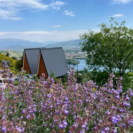 Doel House Shkodër